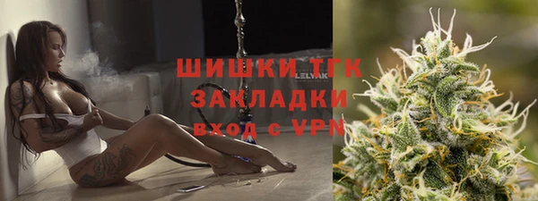 Альфа ПВП Аркадак