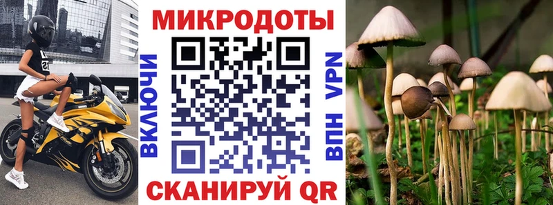 Псилоцибиновые грибы GOLDEN TEACHER Чапаевск